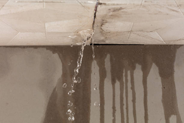 Professional Water Damage Inspection technician working in Plymouth, MN